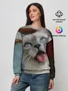 Женский свитшот / Сиамский котенок