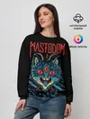 Женский свитшот / Mastodon