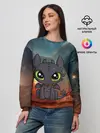 Женский свитшот / ночная фурия
