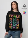 Женский свитшот / Foals