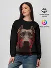 Женский свитшот / Стафф