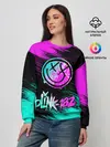 Женский свитшот / Blink-182