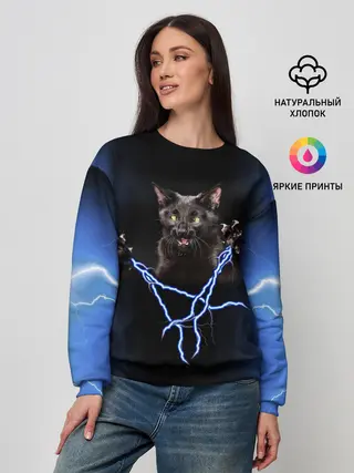 Женский свитшот / Грозовой кошак