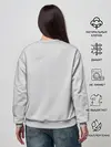 Женский свитшот / Рыжий котик