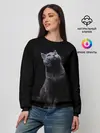 Женский свитшот / Кот Британец