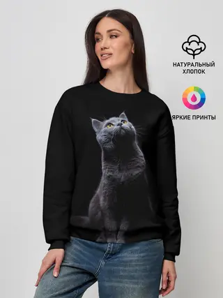 Женский свитшот / Кот Британец