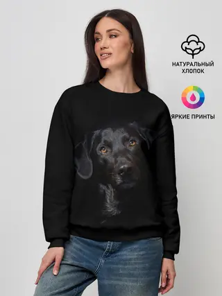 Женский свитшот / Пес