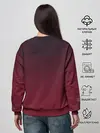 Женский свитшот / Valorant