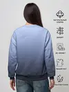 Женский свитшот / футуристический ворон