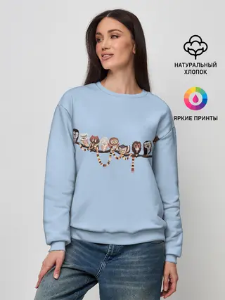 Женский свитшот / Совы на ветке
