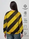 Женский свитшот / Borussia