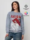 Женский свитшот / Shima Tetsuo