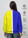Женский свитшот / Лидс Юнайтед 3D