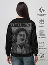 Женский свитшот / Пабло