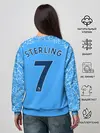 Женский свитшот / Рахим Стерлинг 20/21 Форма