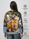 Женский свитшот / Лиса в лесу