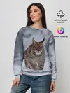 Женский свитшот / Рысь