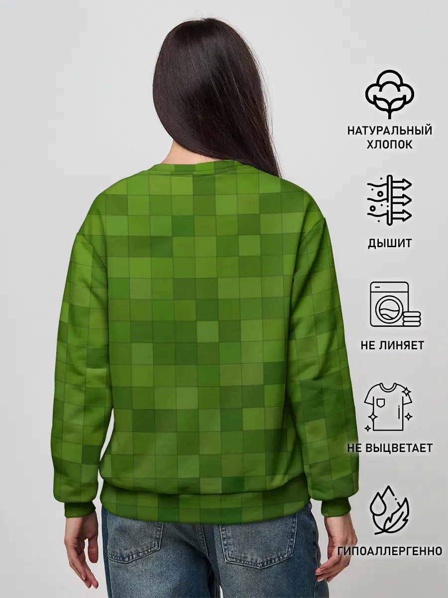 Женский свитшот / Minecraft