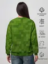Женский свитшот / Minecraft