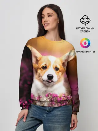 Женский свитшот / Вельш-корги