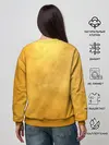 Женский свитшот / жар птица