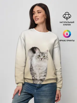 Женский свитшот / Пушистый котик реалистичный