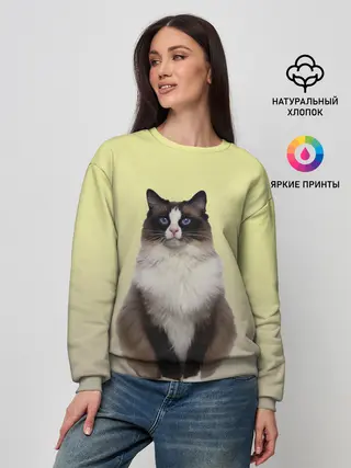 Женский свитшот / персидская пушистая кошка