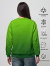 Женский свитшот / земляной анимешный дракон