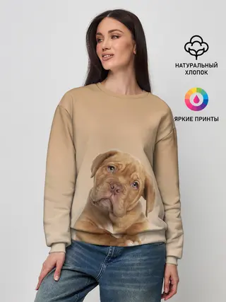 Женский свитшот / питбуль