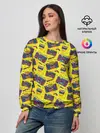 Женский свитшот / DISCO