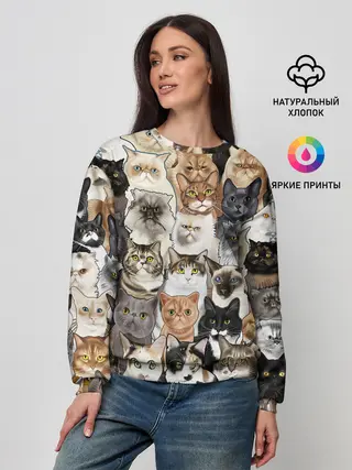 Женский свитшот / Котики смешные