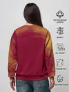 Женский свитшот / Танджиро и Незуко Камадо