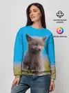 Женский свитшот / Смешной лисенок