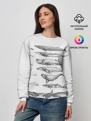 Женский свитшот / киты графика
