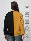 Женский свитшот / Brakebills University