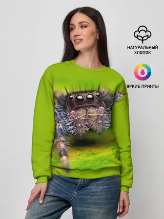 Женский свитшот / ПАУК МАКРО