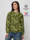 Женский свитшот / Скейтборды