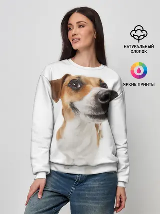 Женский свитшот / Собака