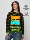 Женский свитшот / Geometry Dash