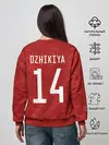 Женский свитшот / Джикия, форма сборной России