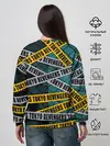 Женский свитшот / Дракен