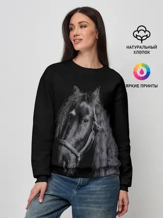 Женский свитшот / Лошадь на черном фоне