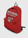 Рюкзак джинсовый / HARVARD