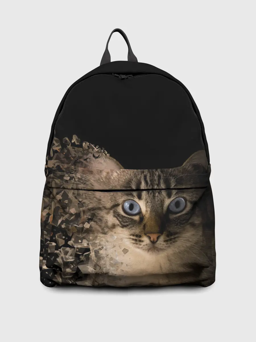 Рюкзак джинсовый / Disintegrating Cat