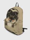 Рюкзак джинсовый / Sheltie