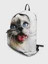Рюкзак джинсовый / Котик