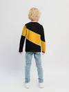 Детский лонгслив / Бостон Брюинз, Boston Bruins