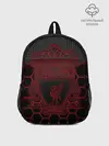 Рюкзак детский / Liverpool F.C.