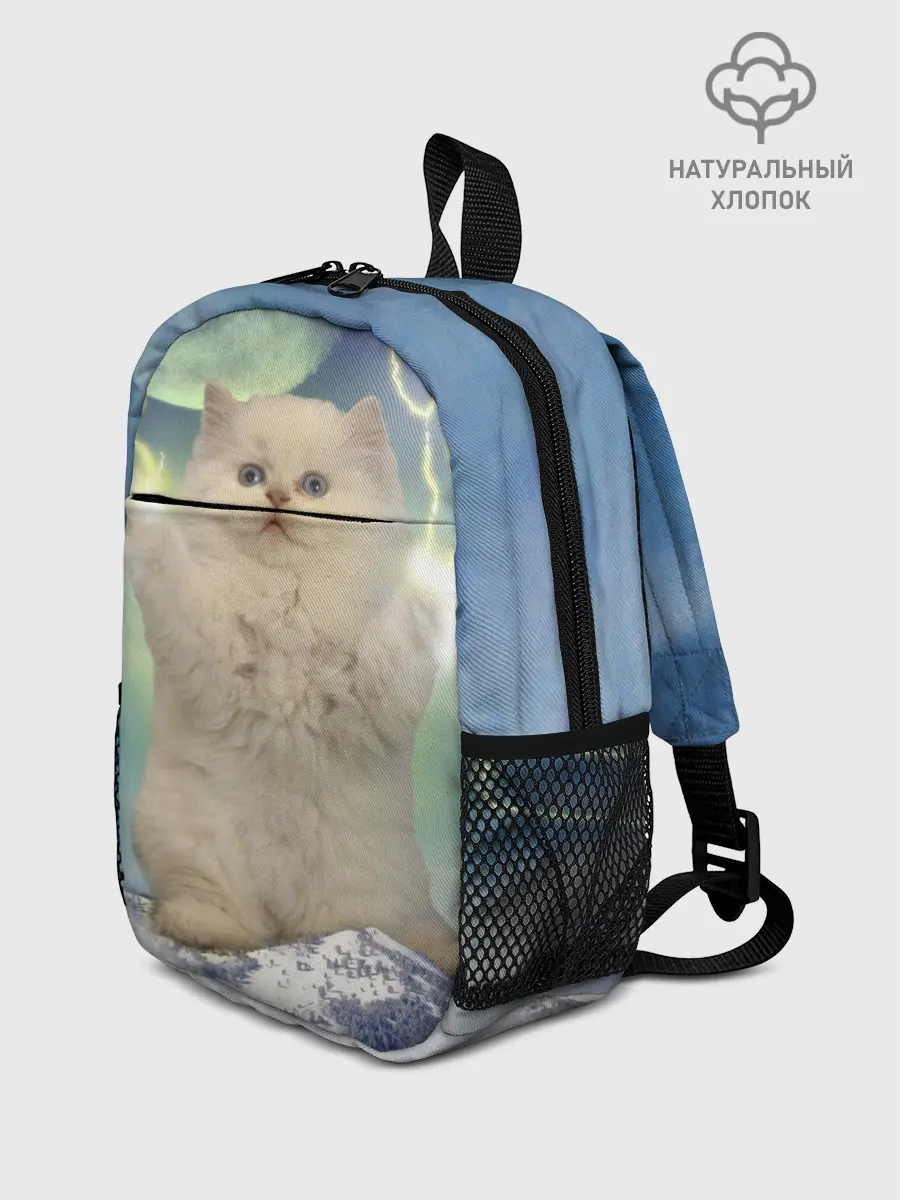 Рюкзак детский / Грозовой Котик