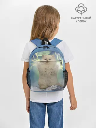 Рюкзак детский / Грозовой Котик